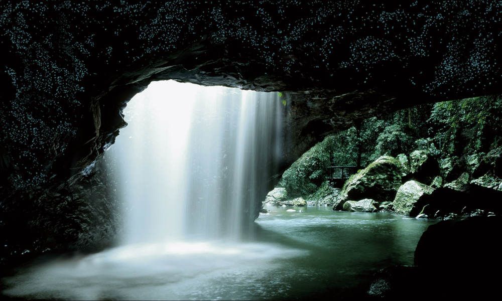 ทัวร์อุทยานแห่งรัฐเนเชอรัลบริดจ์และหิ่งห้อย ช่วงกลางคืน