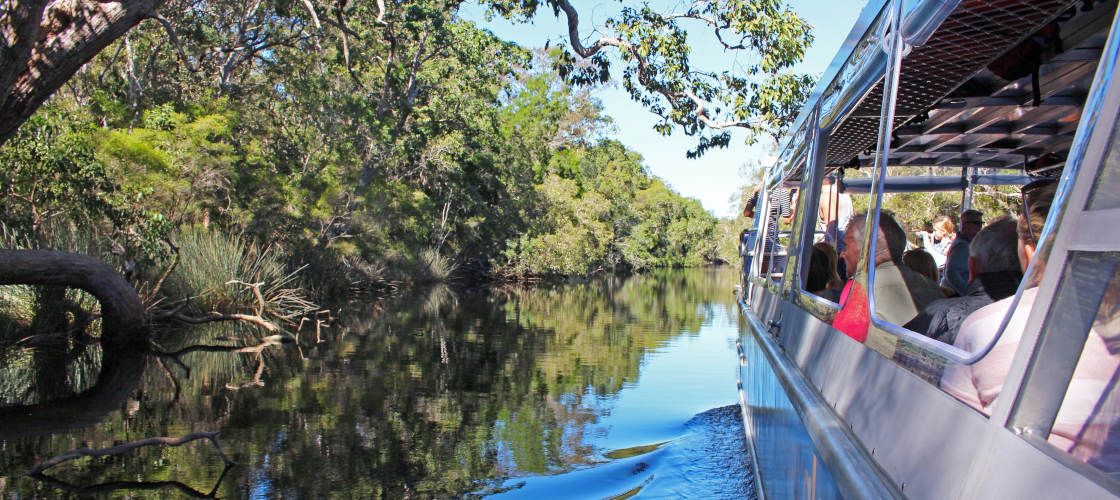 Noosa Everglades Serenity Cruise - Half Day