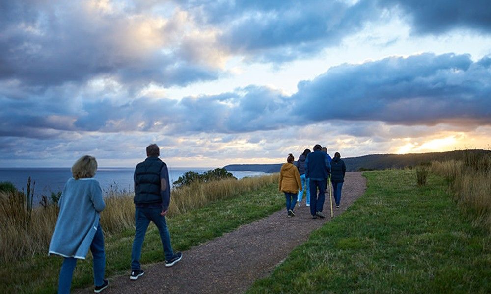 Otways Wildlife Sanctuary Dusk Discovery Tour - 2 Hours