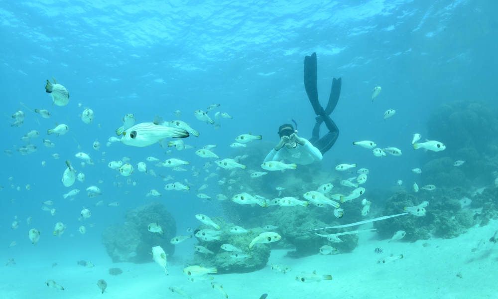 Outer Reef or Island Snorkel Tour from Exmouth