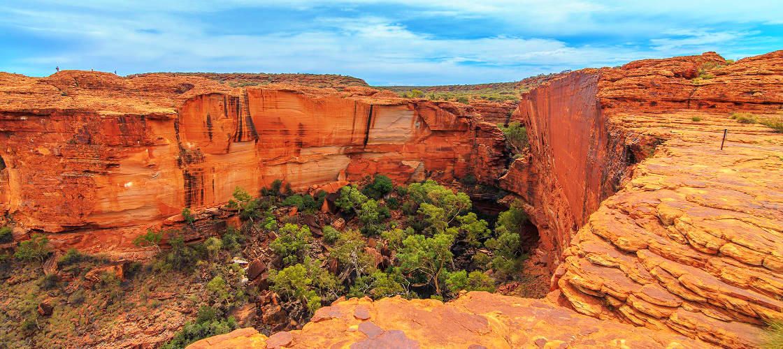 Palm Valley and 4WD Safari Tour