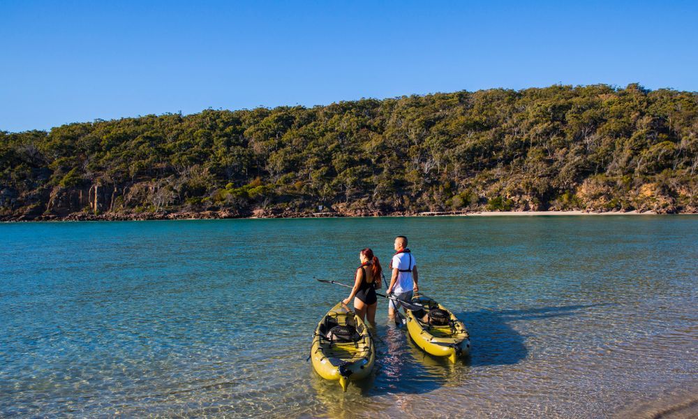 Pambula River Kayak Tour - 3 Hours