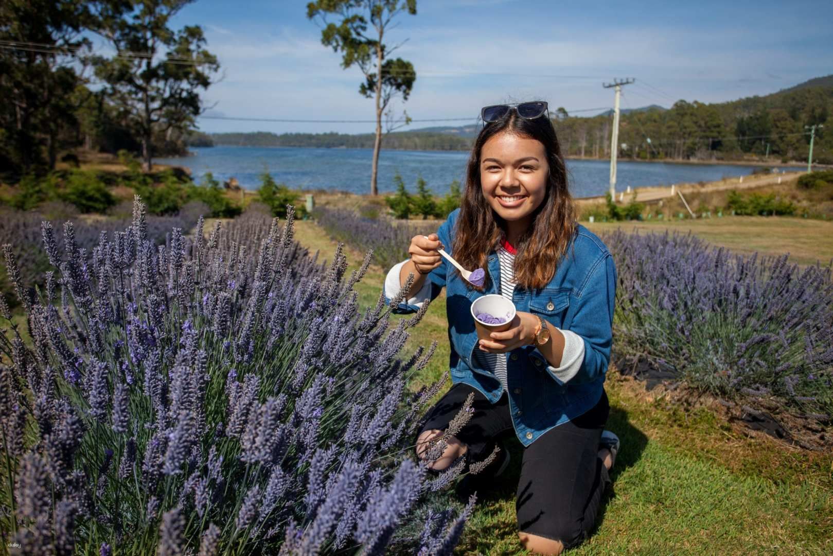 Port Arthur & Lavender Day Tour from Hobart | Tasmania