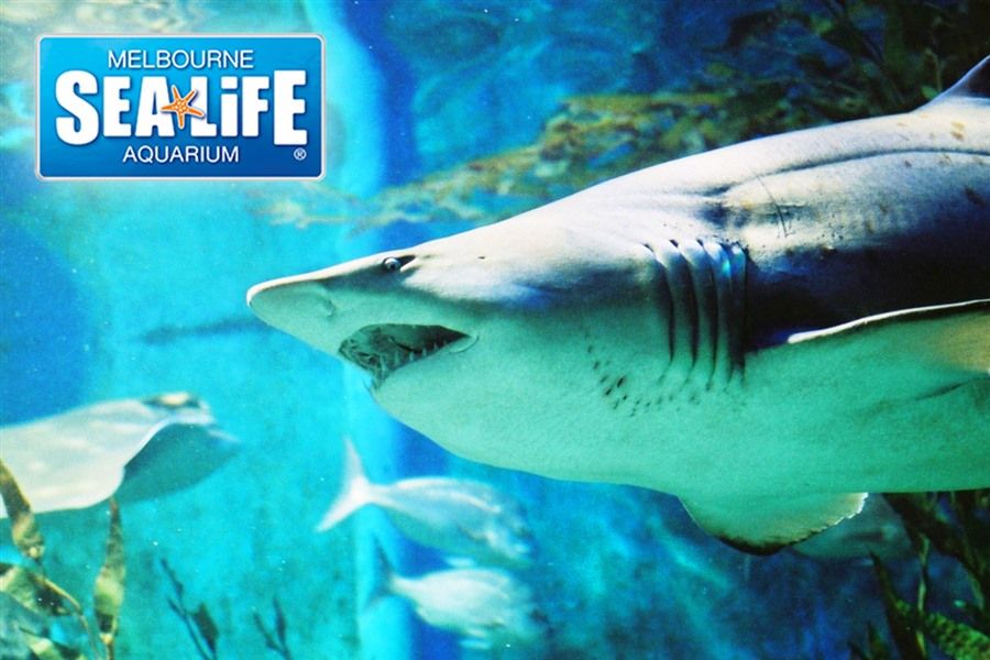 SEA LIFE Melbourne Aquarium
