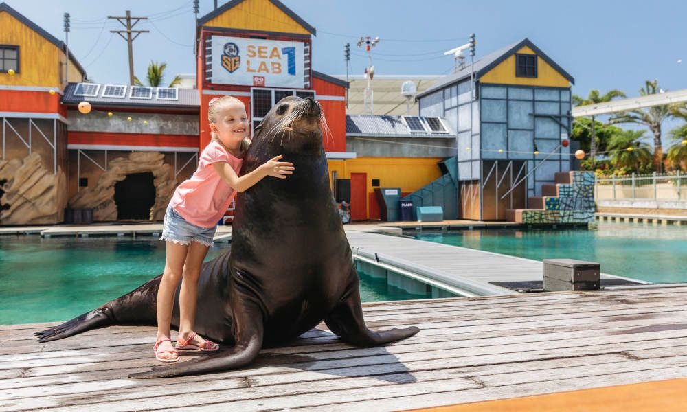 Sea World Seal Encounter
