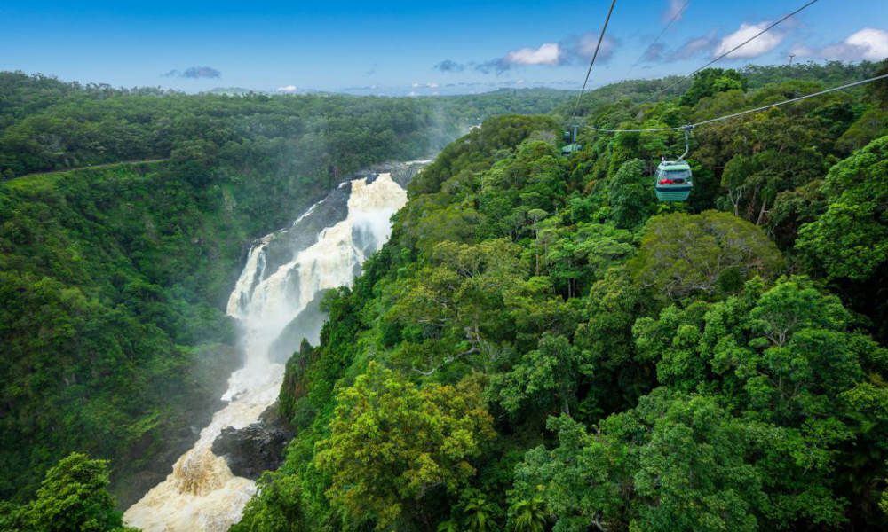 Self Drive Kuranda Tour including Scenic Railway and Skyrail