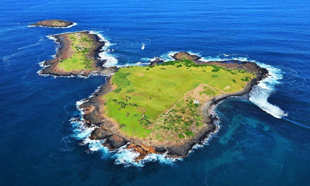 Shell Cove Eco Scenic Cruise - 2 Hours