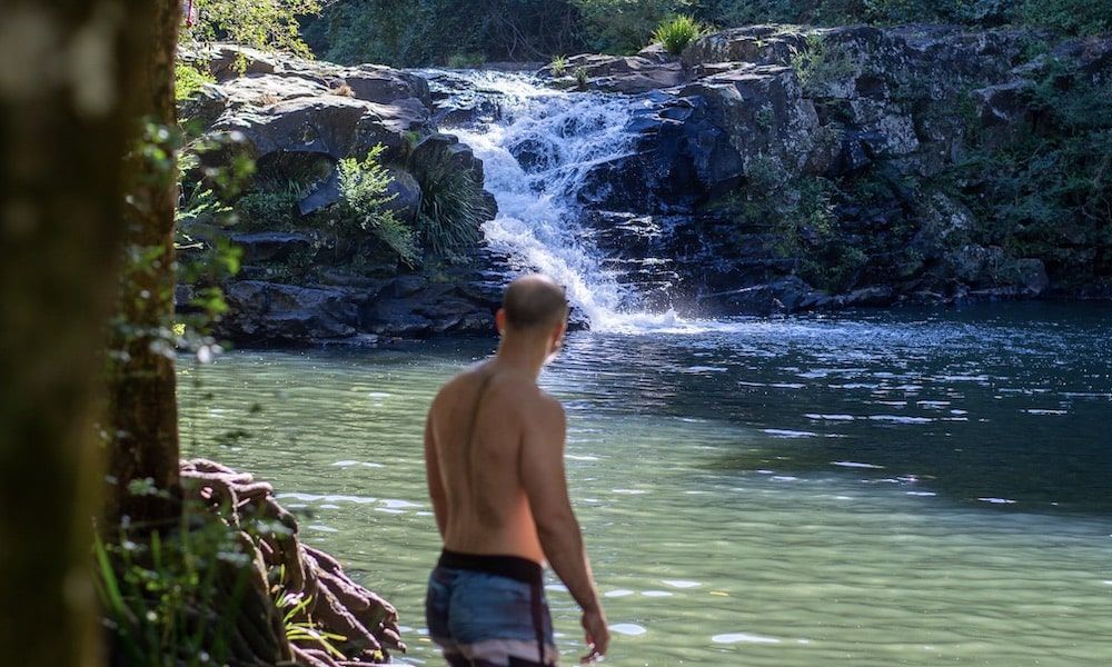 Sunshine Coast Hinterland Half Day Guided Tour