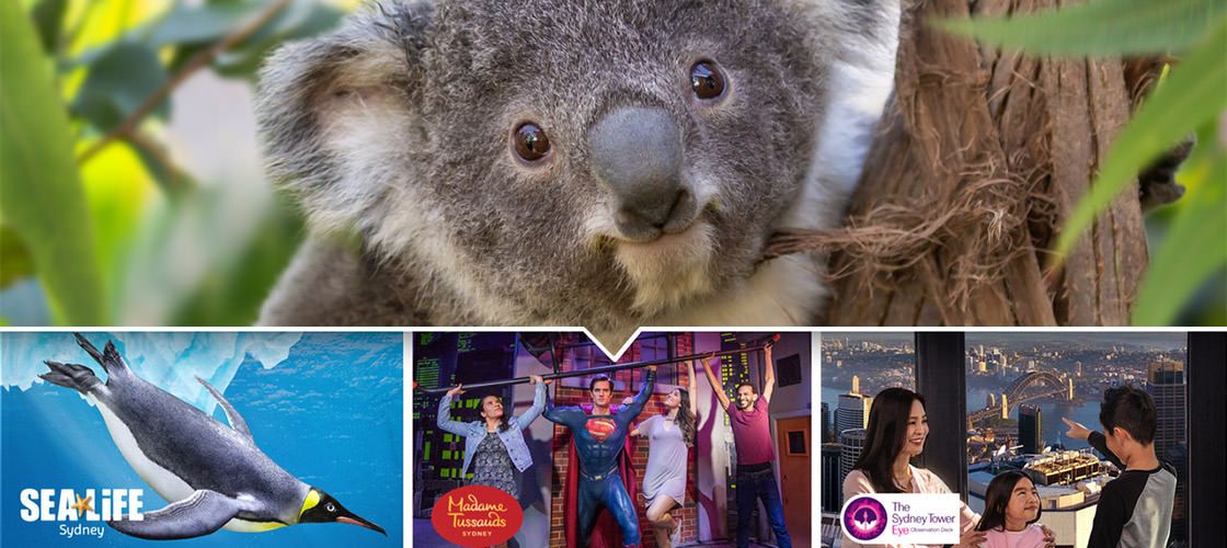Sydney Attractions Pass - 3 Attractions