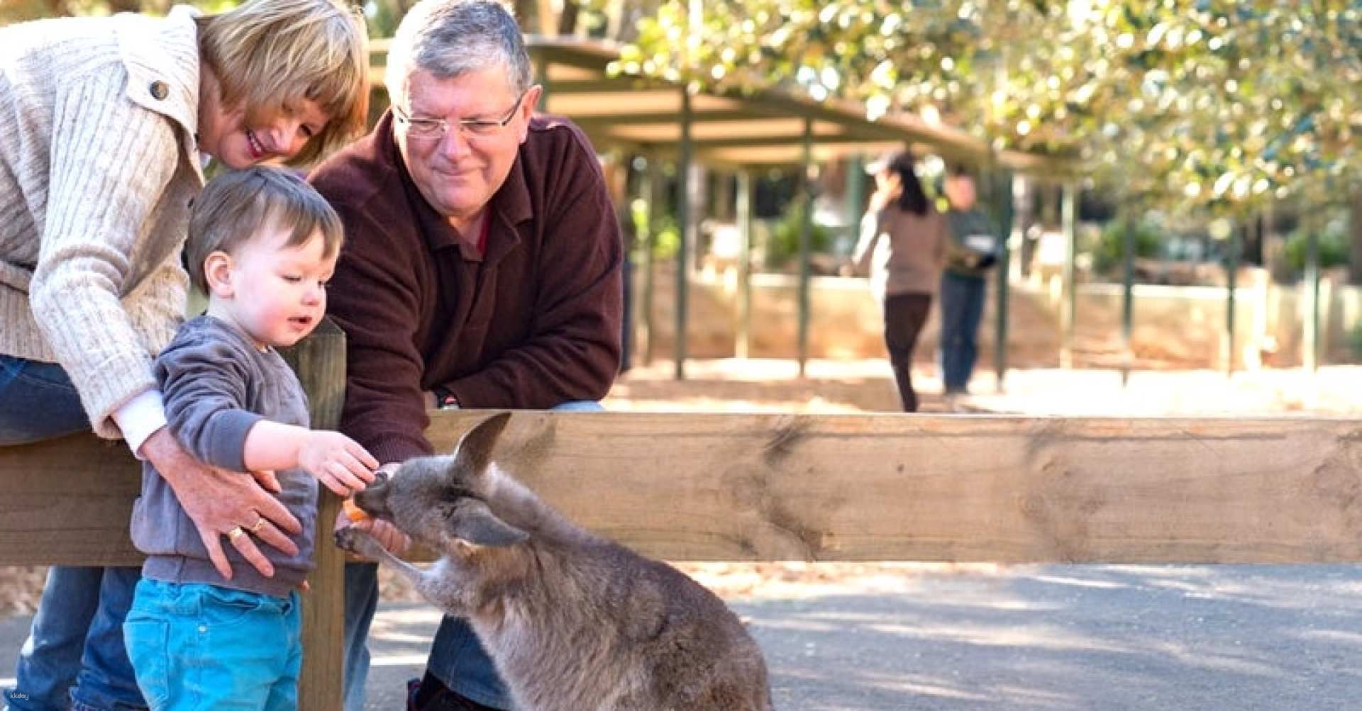 Sydney Featherdale Wildlife Park Ticket | Australia