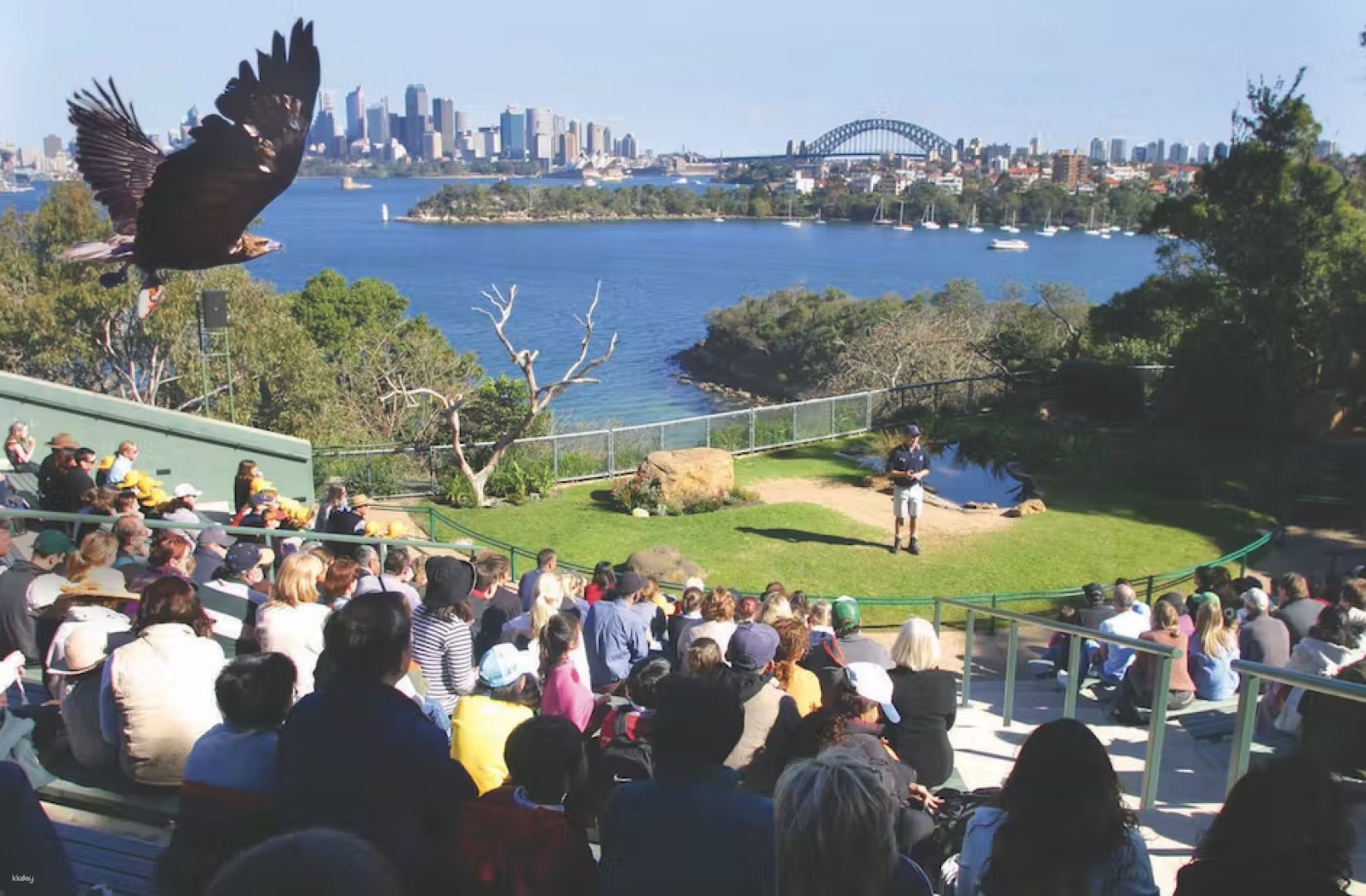 Taronga Zoo & Harbour Hopper 24Hr & 48Hr Ferry Pass | Sydney