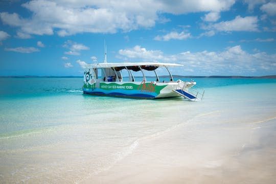Turtle discovery ecotour