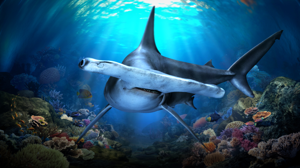 บัตรเข้าชมพิพิธภัณฑ์สัตว์น้ำ Singapore Oceanarium