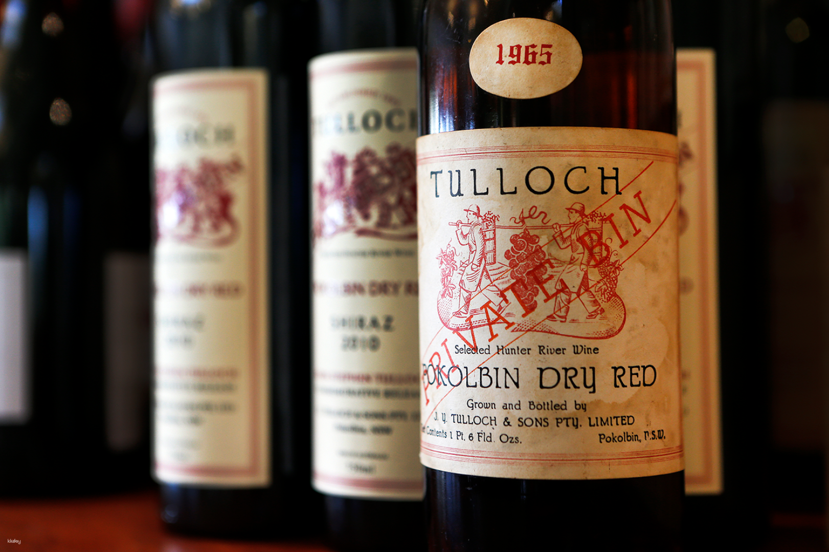 Vertical Tasting of Pokolbin Dry Red Shiraz at Tulloch Wines  | New South Wales