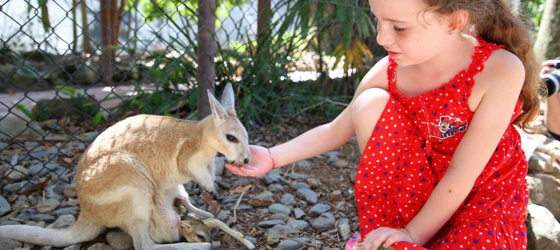 Wildlife Habitat Port Douglas Tickets