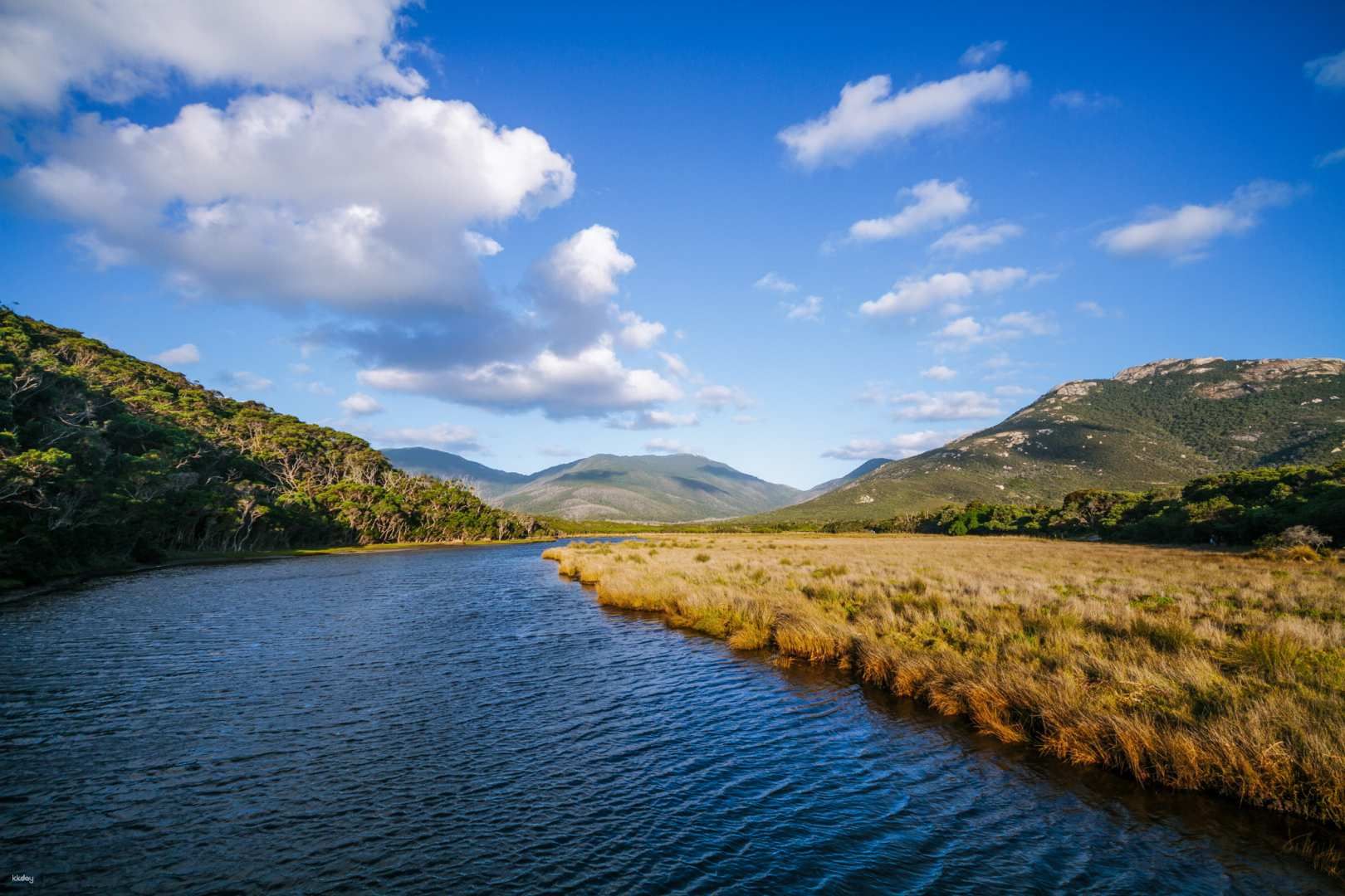 Wilson's Promontory National Park Day Tour | Victoria