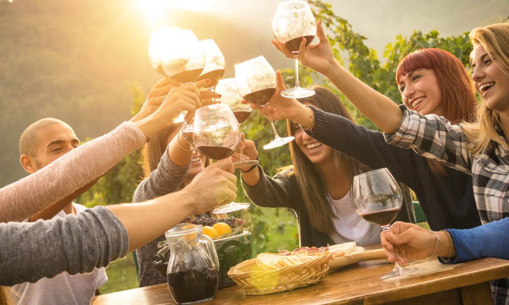 Yarra Valley Private Car Winery Tour with Chocolate Tasting and Lunch