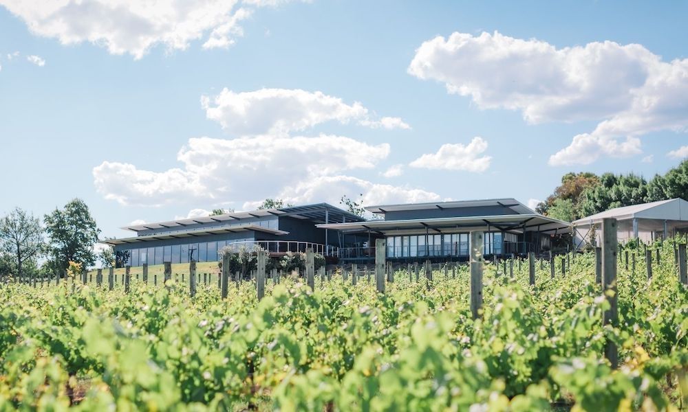 Yarra Valley Winery Tour with Lunch