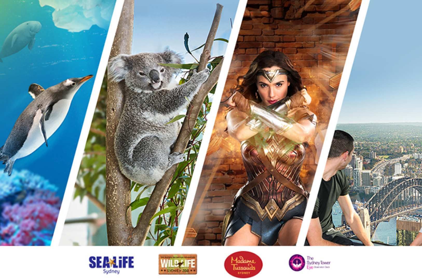 [QR Code Direct Entry] Sydney Attractions Combo Ticket: WILD LIFE Sydney Zoo, Madame Tussauds, SEA LIFE Aquarium & Sydney Tower Eye | Australia