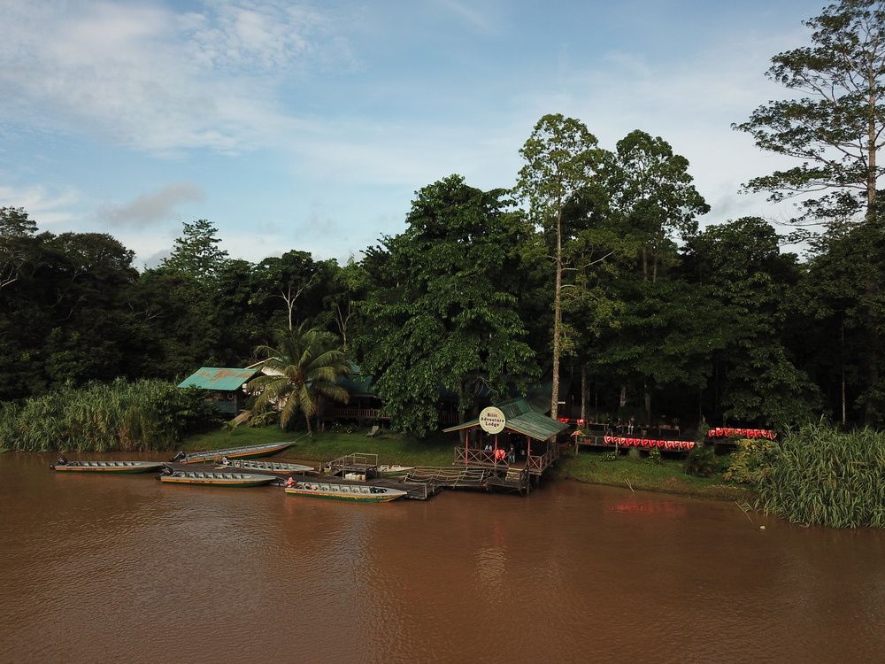 Day Tour Kinabatangan River (Lunch)
