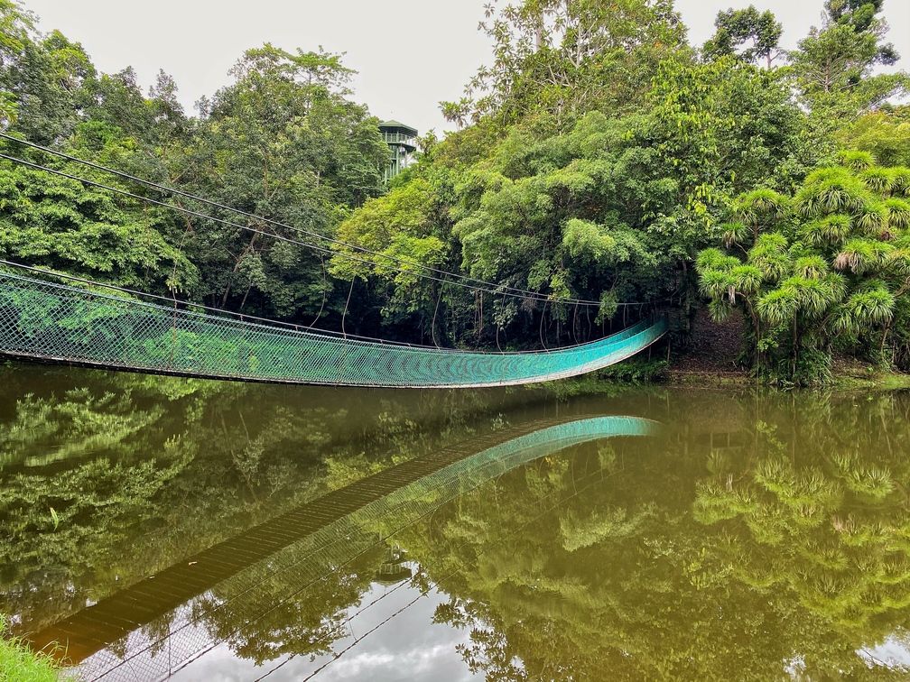 Full day Sepilok Orang Utan, Labuk Bay Proboscis Monkey Sanctuary, Sun Bear Tour + RDC (Lunch)
