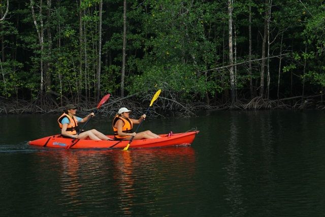 Kayaking Adventure & Swimming