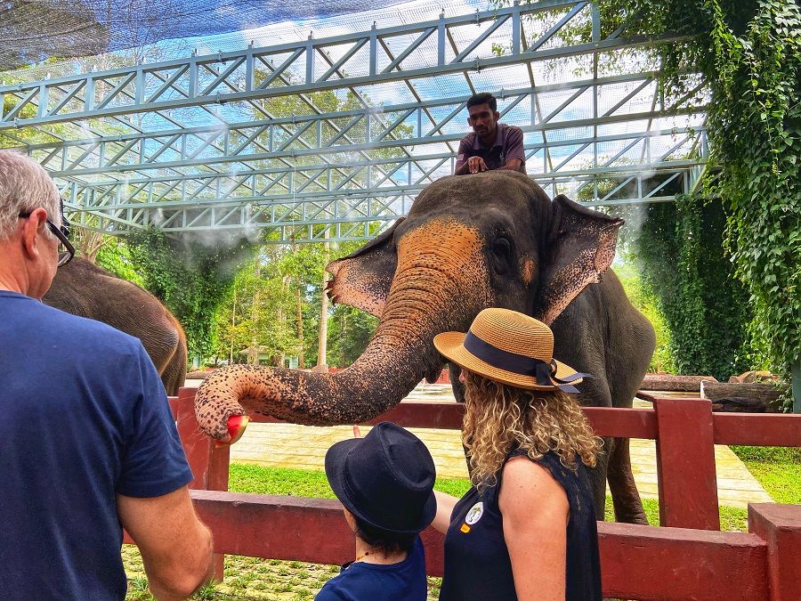 Kuala Gandah Elephant Sanctuary, Deerland Park, and Aboriginal Settlement Tour (SIC TOUR – SHARED/JOIN IN TOUR)