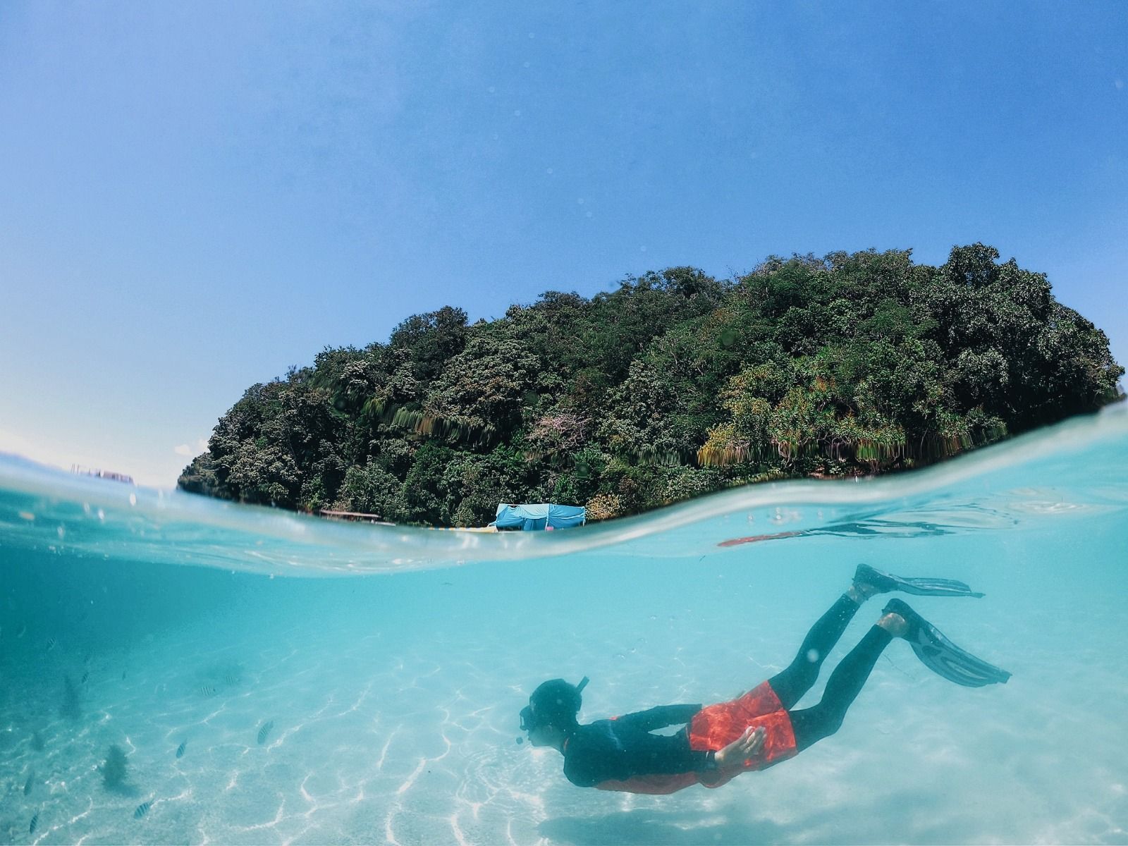 ทัวร์ดำน้ำตื้นและดำน้ำลึกแบบร่วมวันที่เกาะ Moon Bay | ซาบาห์