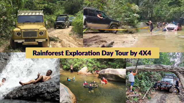 Rainforest Exploration Day Tour by 4X4