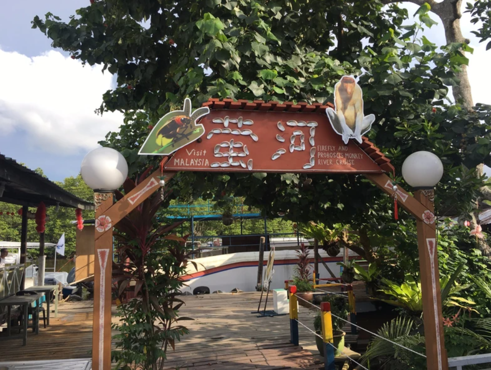 Sabah Kota Kinabalu: Binsuluk River Mangrove Forest One Day Tour