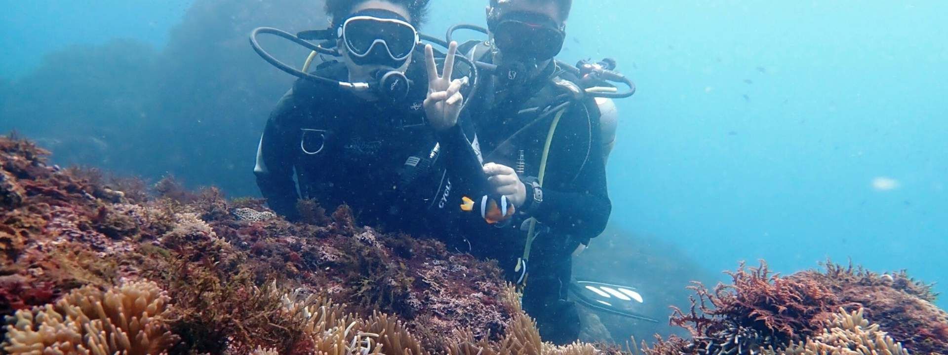 ประสบการณ์ดำน้ำที่อ่าวหลงตงโฟร์ซีซั่นส์ ในไต้หวัน