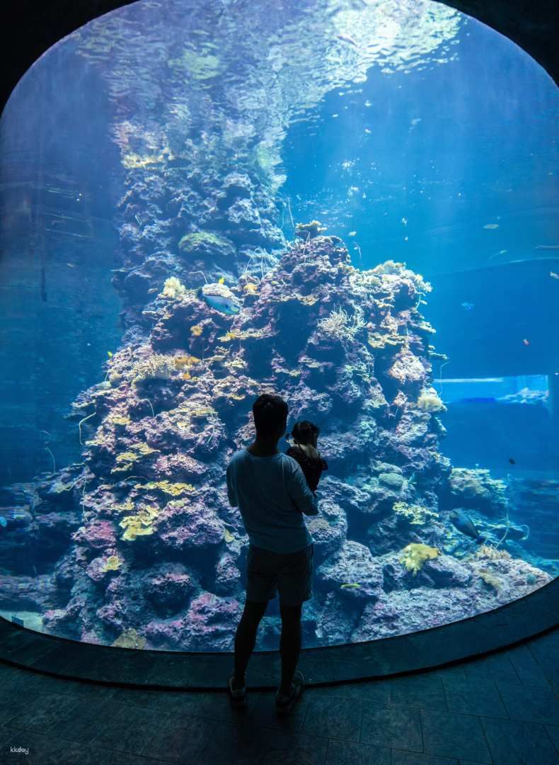 Pingtung Marine Life Museum: Journey with the Fish, Overnight Mini Narrator, Night Patrol Tide Sea Party & My Penguin
