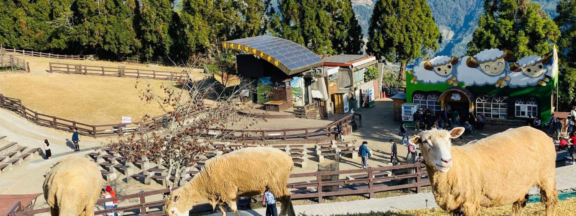Qingjing Farm Day Tour from Taichung