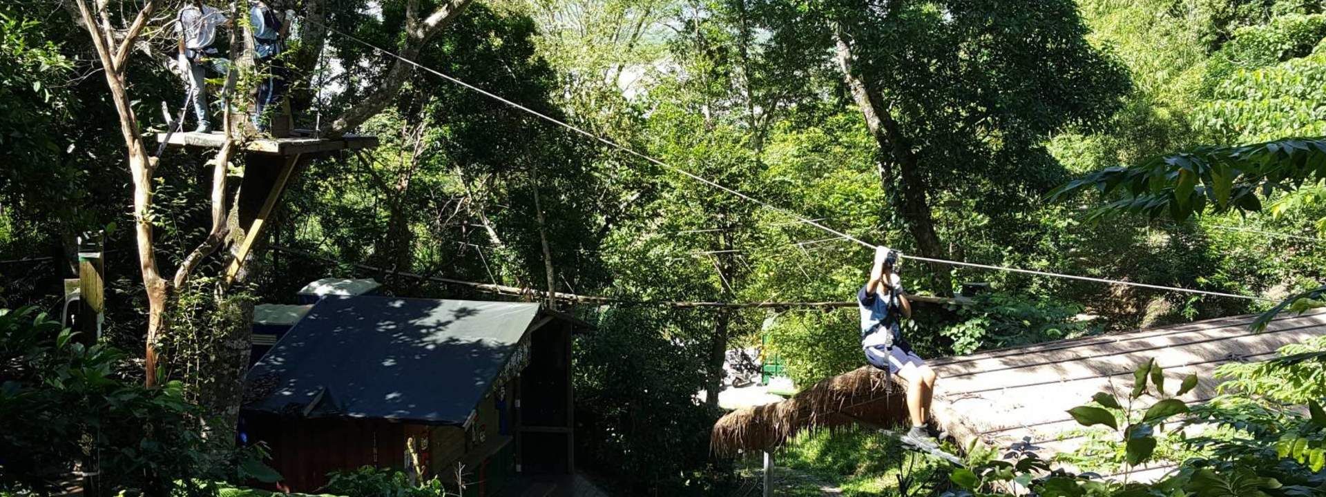 Tree Top Adventure in Hualien