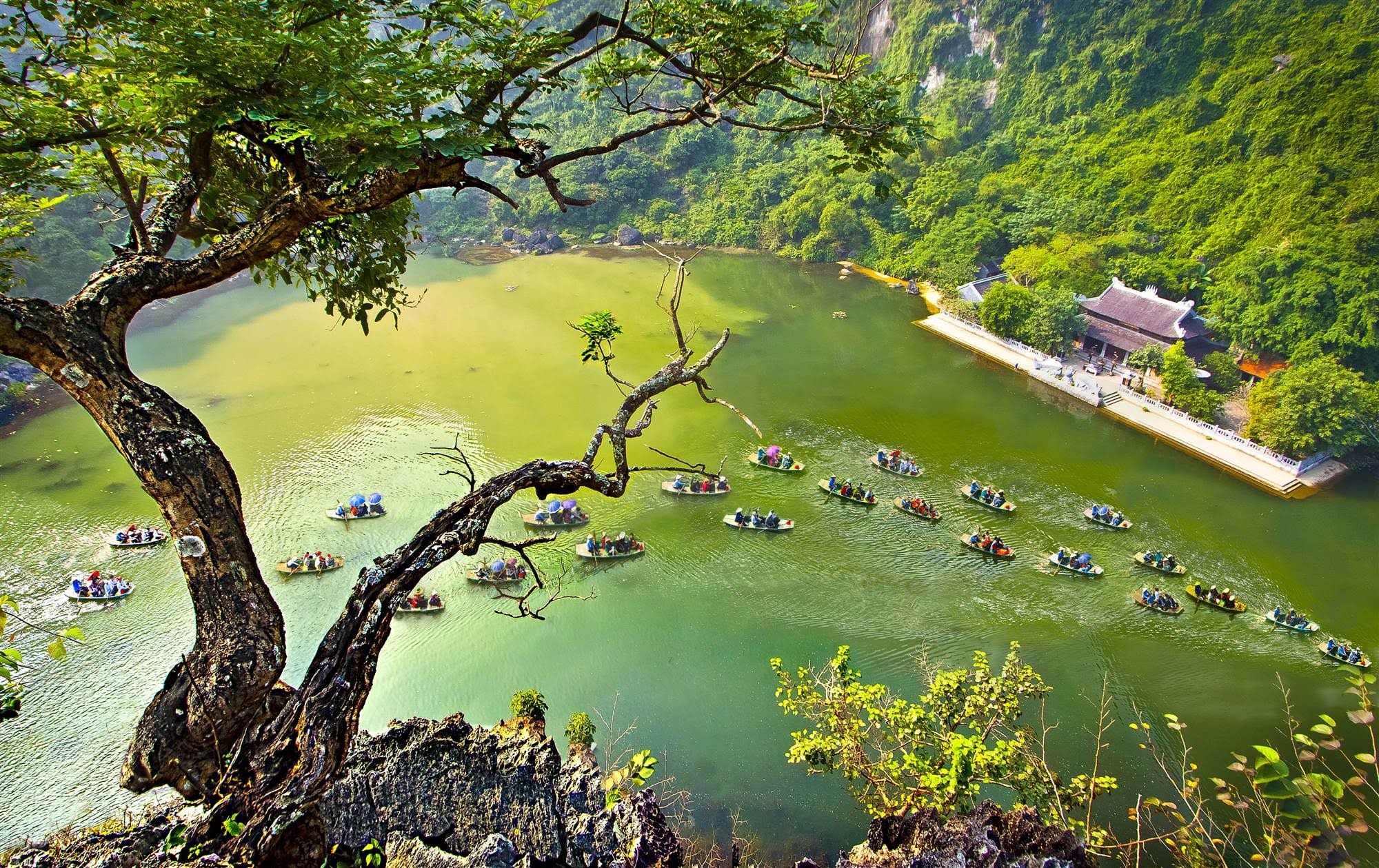 Bai Dinh - Trang An Premier Tour