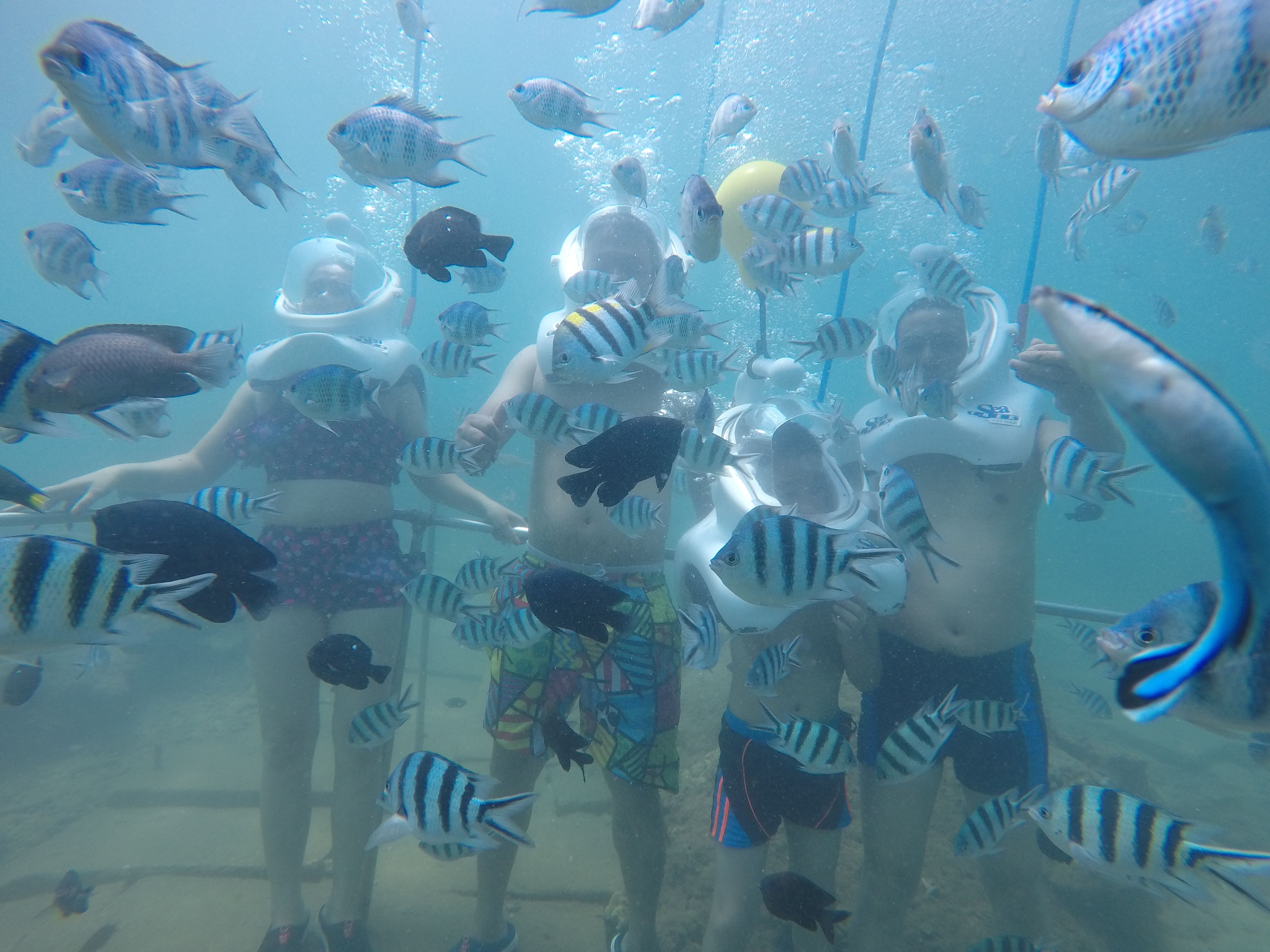 Cham Island Walking Under Water and Snorkeling by Speedboat