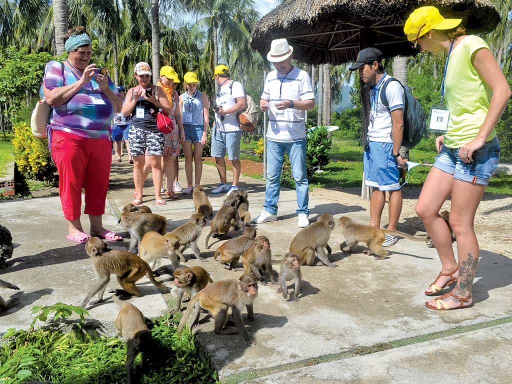 Combo Monkey Island + Orchids Island Ticket in Nha Trang