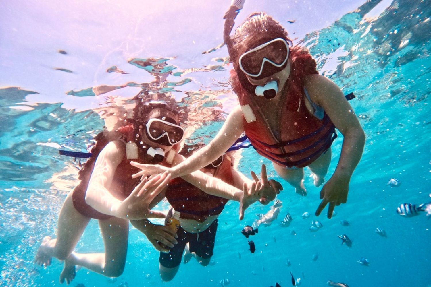 Discover Coral Reef By Snorkeling And Crazy Party In Nha Trang