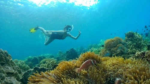 Full-Day Private Snorkeling Trip to Discover Phu Quoc Coral Reefs and Hon Thom Cable Car with Lunch by Speedboat