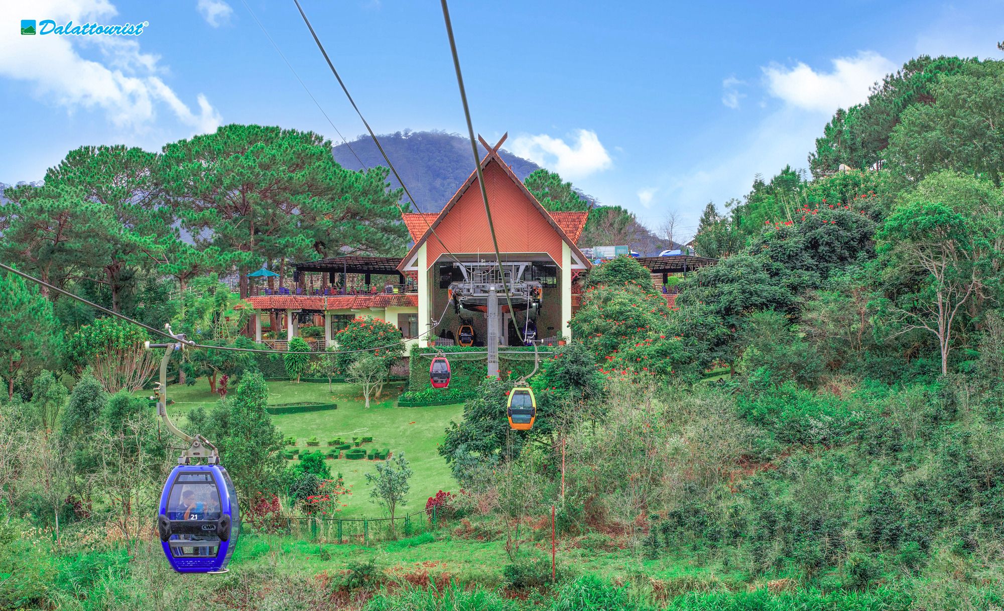 Robin Hill Cable Car Ticket