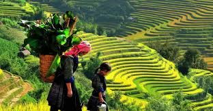 Sapa 2-Day 3-Night Tours From Hanoi By Overnight Train 2 Ways