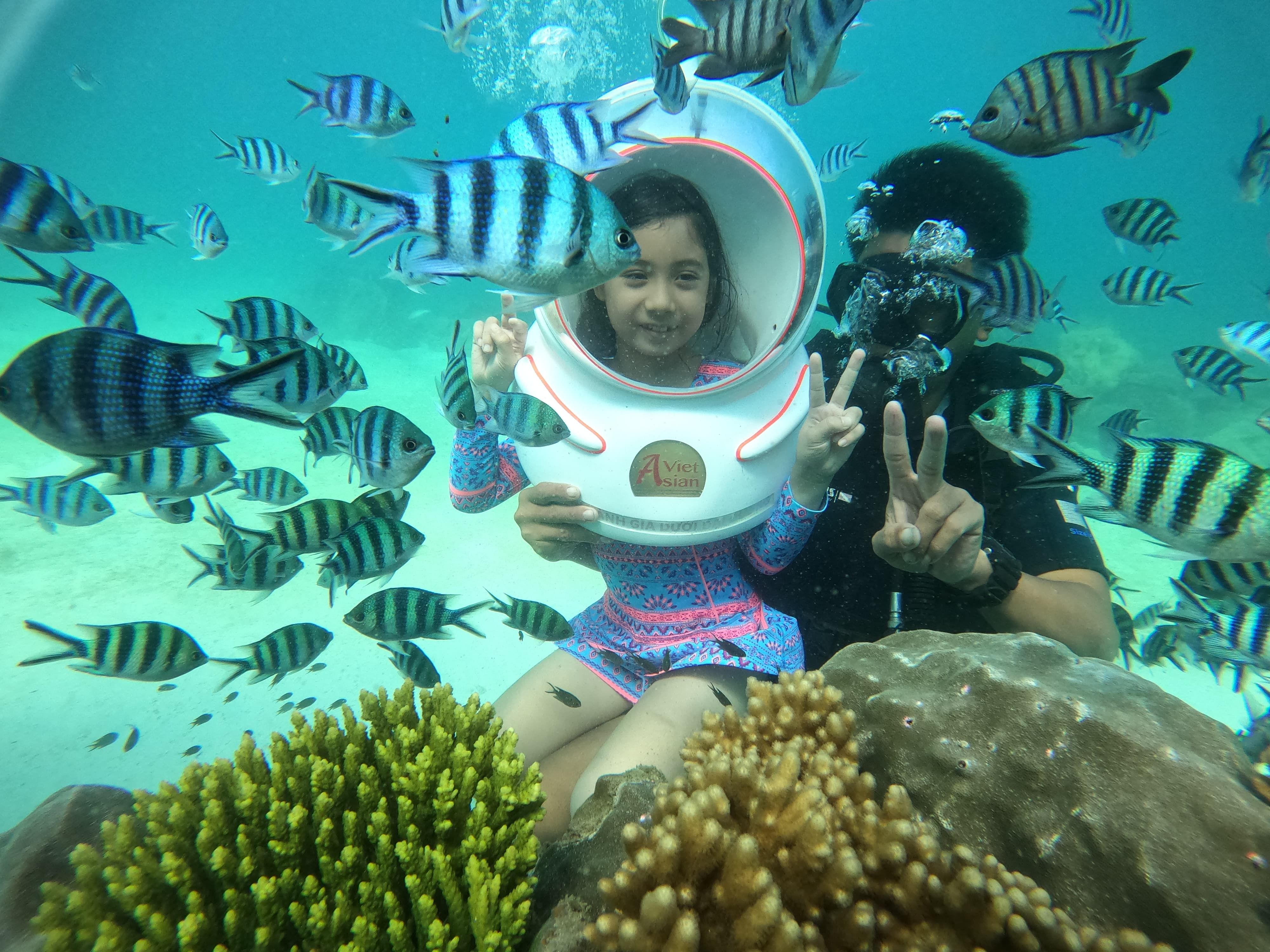 Sea-Walker or Scuba Diving Trip (01 time)