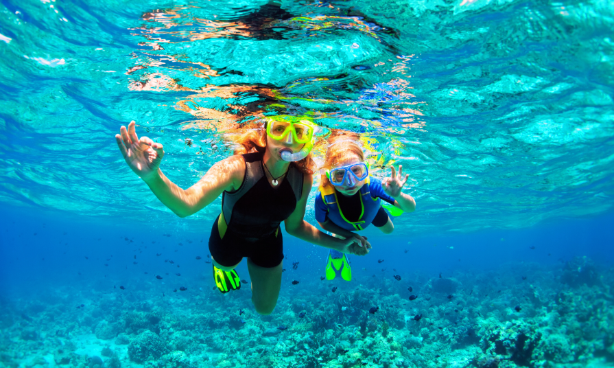 Snorkeling in the North island