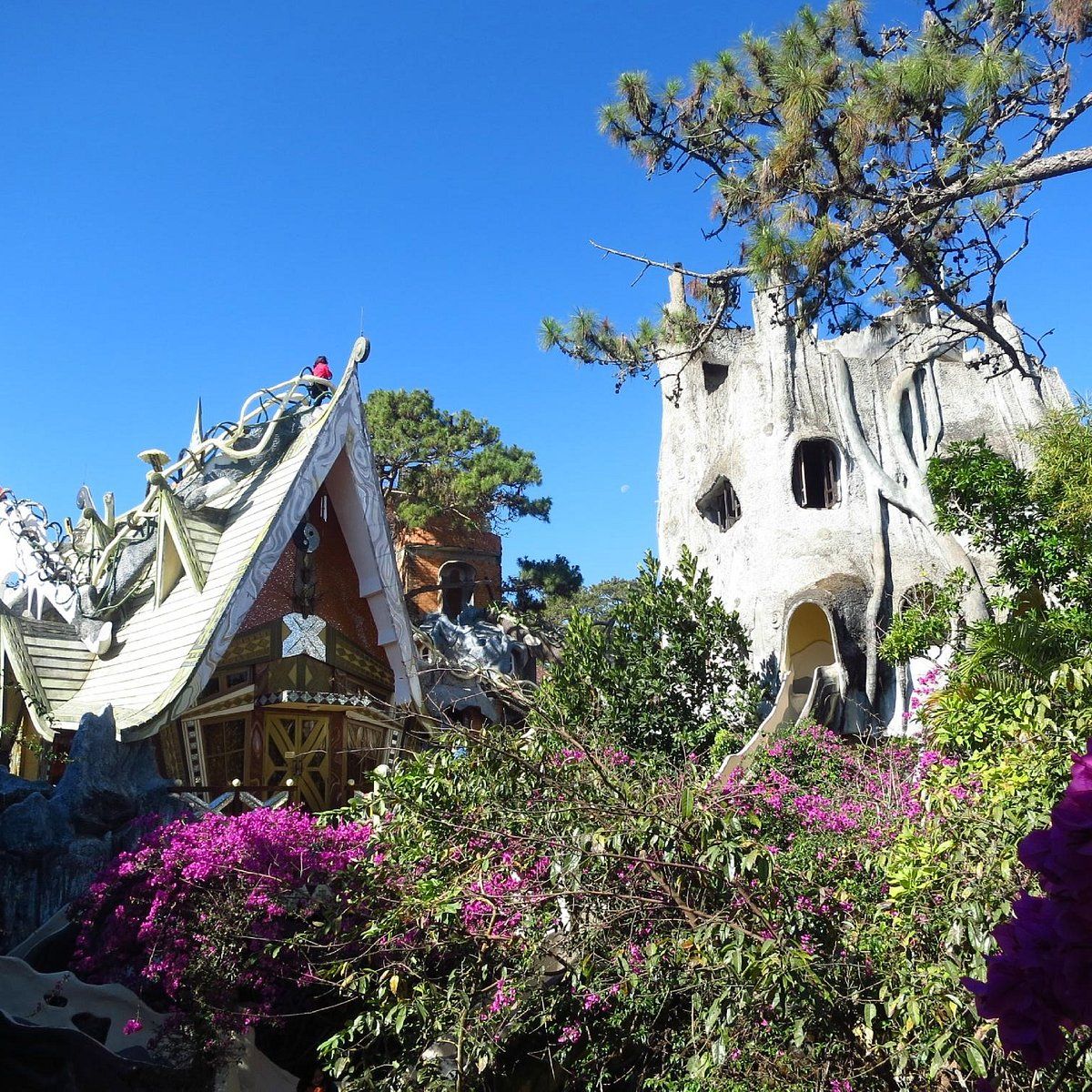 Tour To The Most Attractive Spots In Da Lat