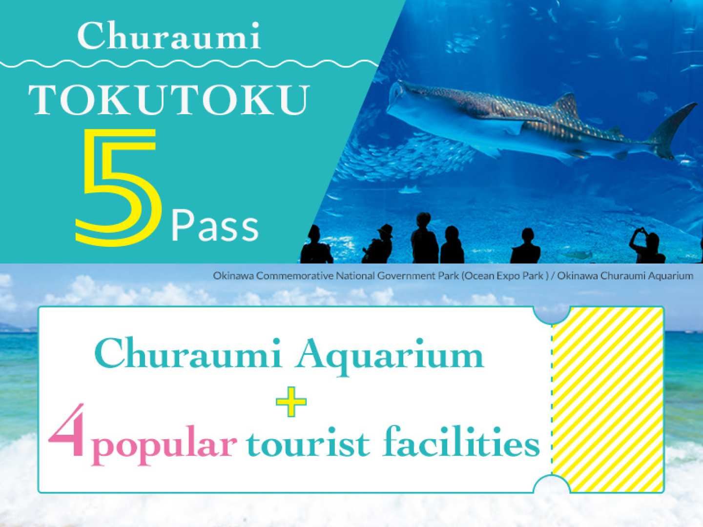 Churaumi Tokutoku 5 Pass|Instant Confirmation|Okinawa