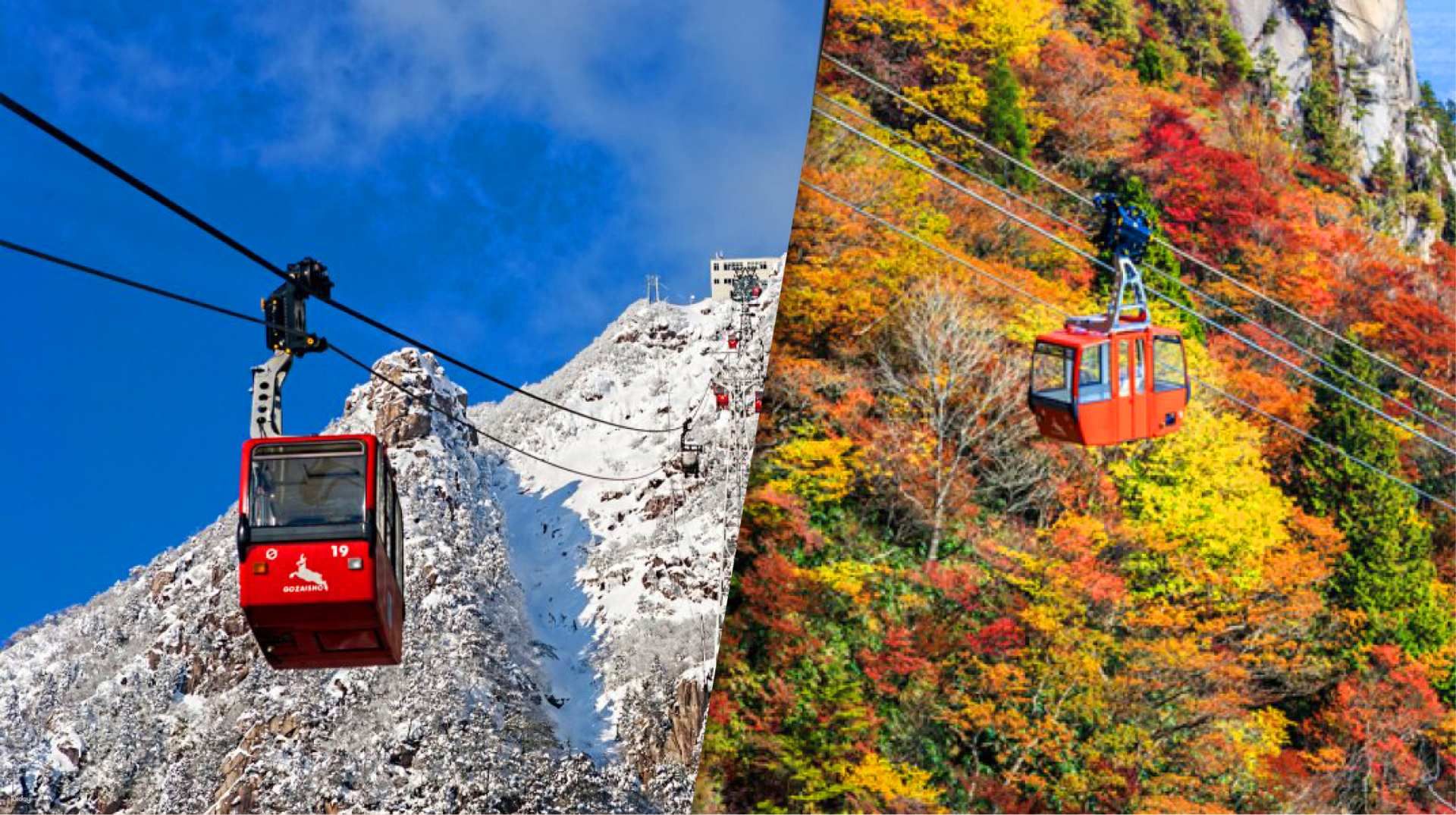 Fall Foliage or Winter Frosted Trees: Gozaishodake Ropeway, Hoarfrost and Nabana no Sato Illumination Bus Day Tour from Osaka | Japan