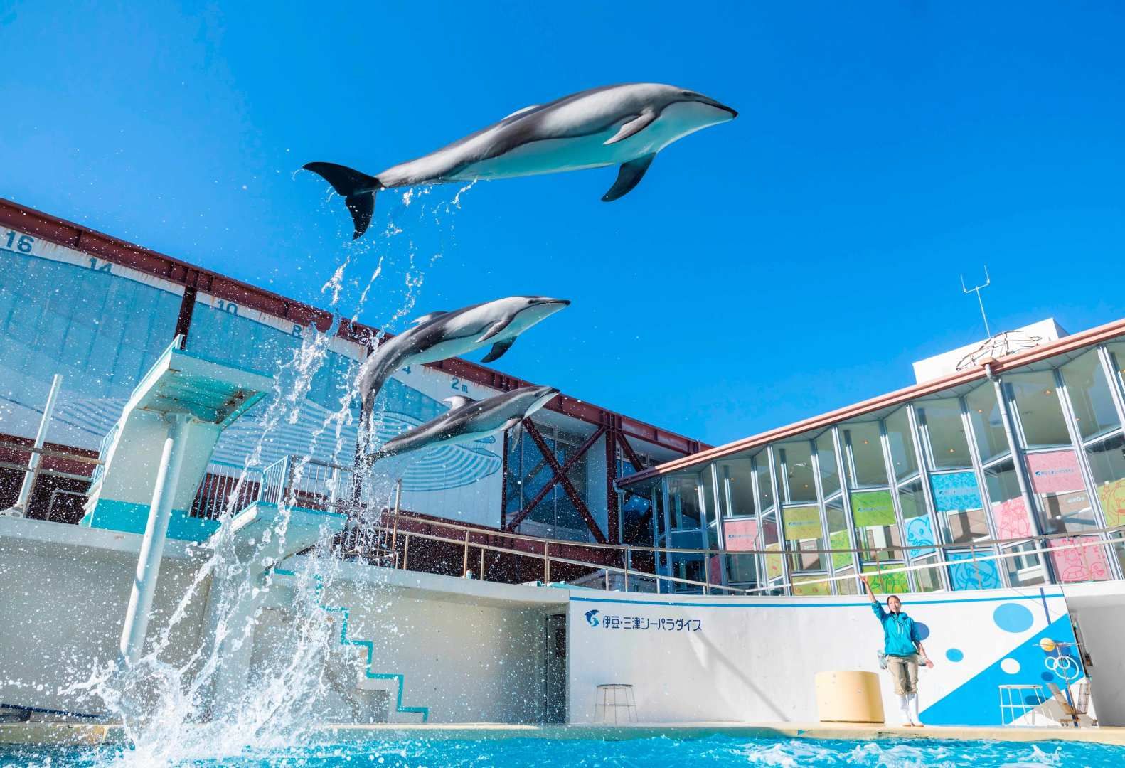 Izu Mito Sea Paradise ticket | Shizuoka