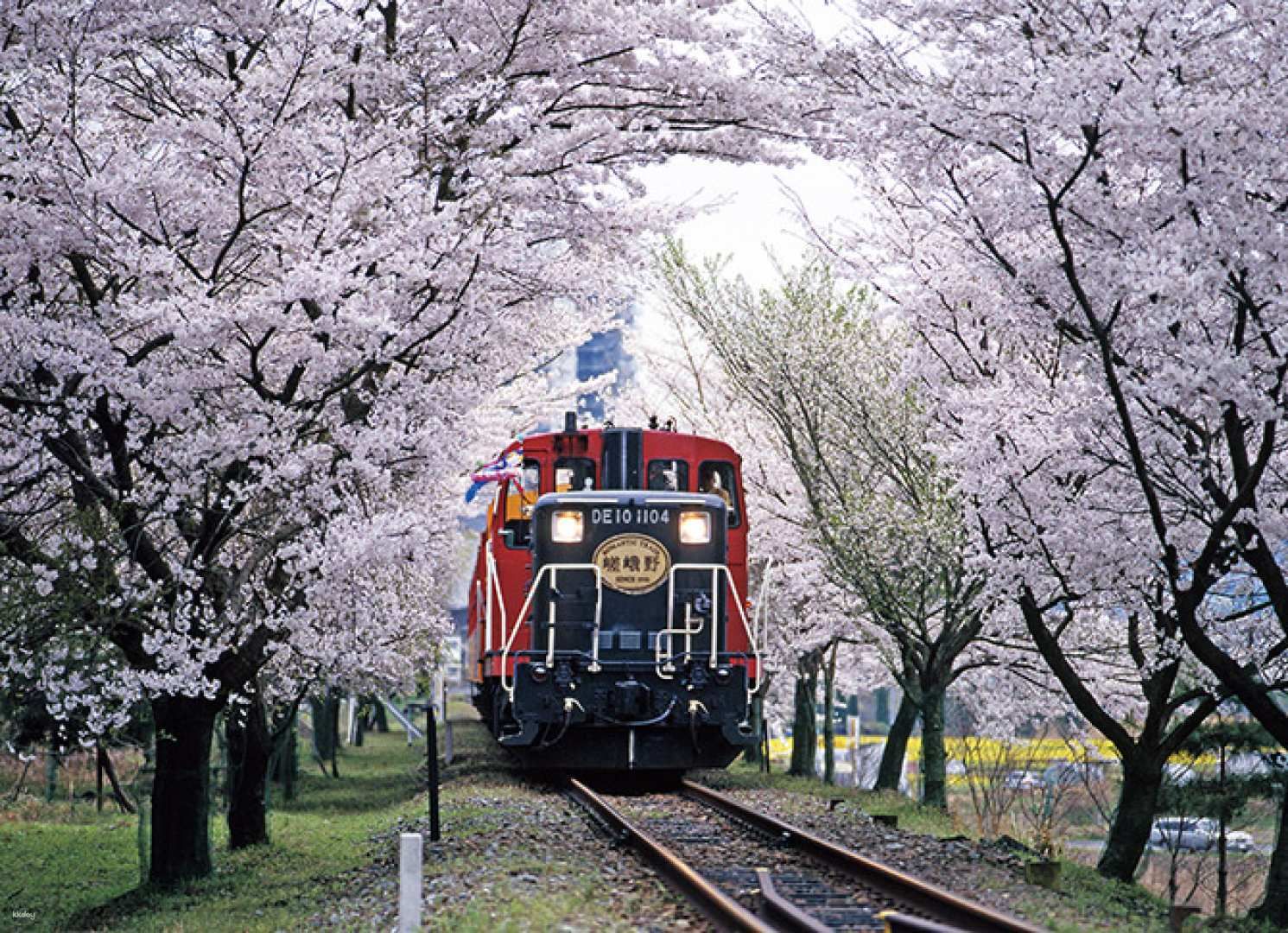 ทัวร์เกียวโตแบบไปเช้าเย็นกลับจากโอซาก้าและเกียวโต | รถไฟสายโรแมนติกซากาโน ล่องเรือแม่น้ำโฮซู และอาราชิยามะ