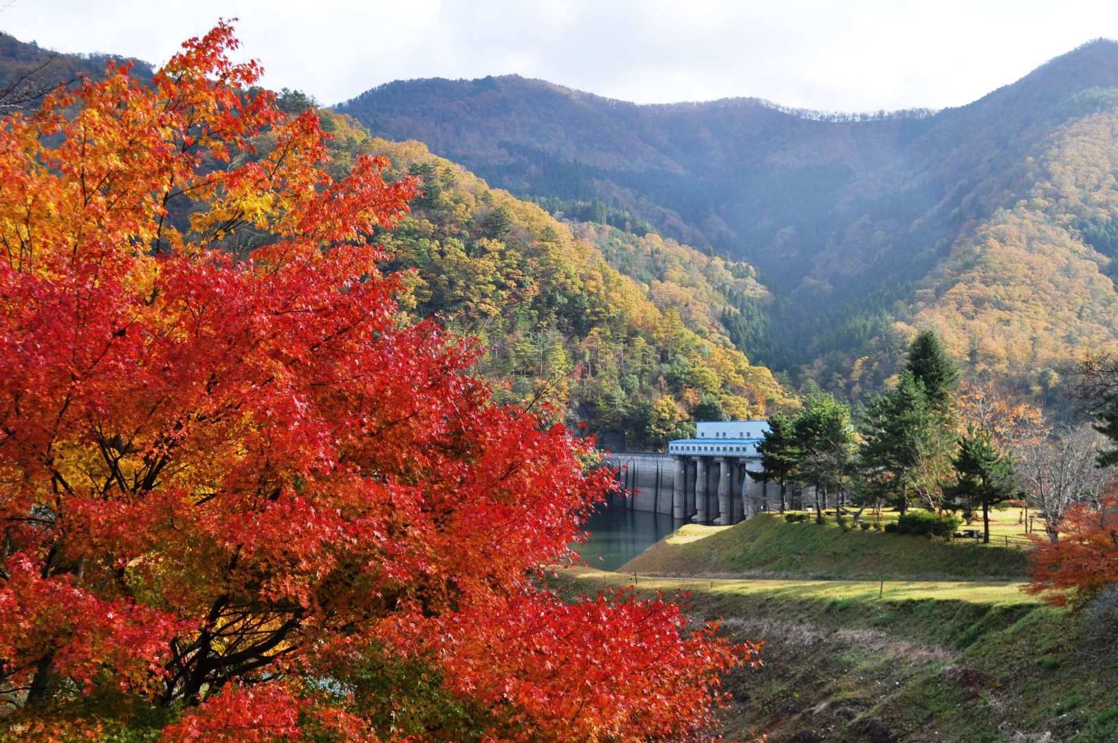 Kyoto Healing Village Miyama Thatched Sato One Day Tour from Osaka