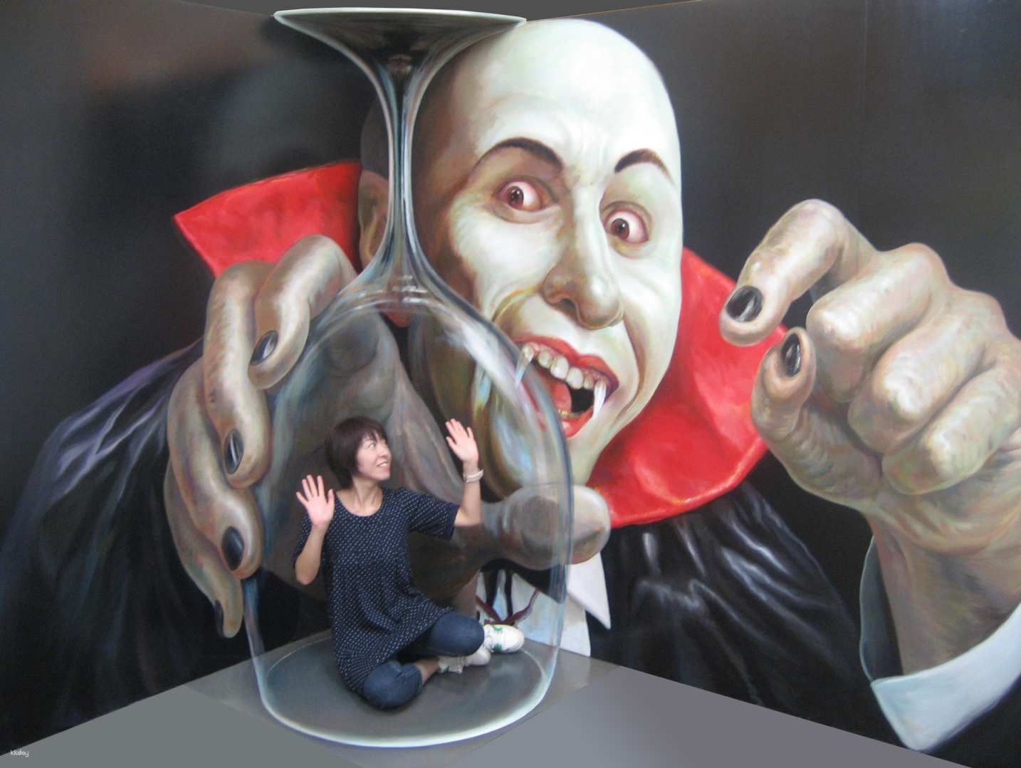 Tokyo Trick Art Labyrinth Museum Admission Ticket